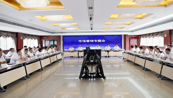 上海大宝娱乐召开市场营销“百日攻坚”带头会